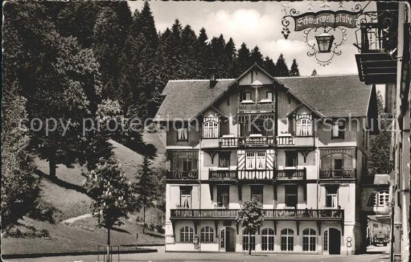 Bad Rippoldsau Schwarzwald Mineralbad-Trinkhalle