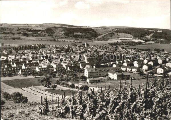 Hammelburg Weinbergen Schloss Saaleck