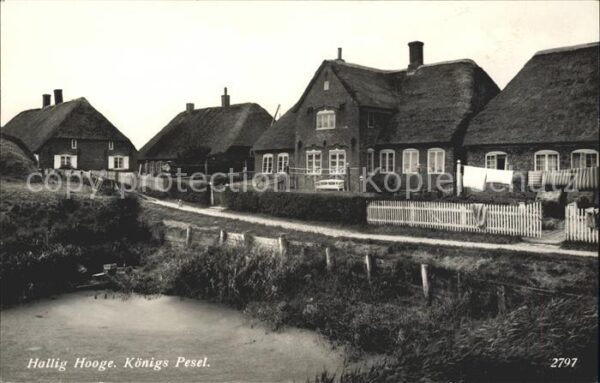 Hallig Hooge Koenigs Pesel
