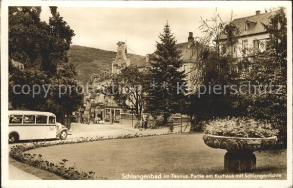 Schlangenbad Taunus Kurhaus Schlangenfichte