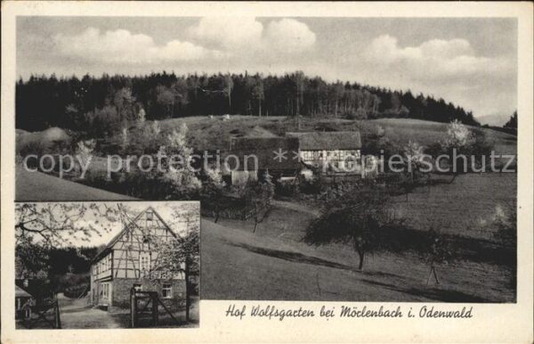 Moerlenbach Hof Wolfsgarten