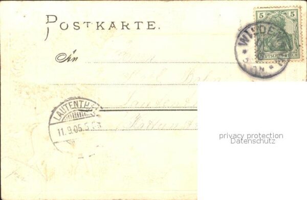 Wildemann – Bild 2