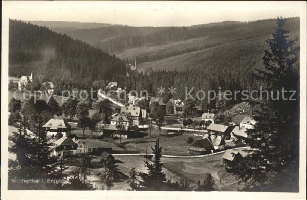 Wildenthal Eibenstock Hotel Drechsler