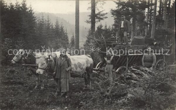 Dettingen Hohenzollern Bauernfamilie Foto Wald