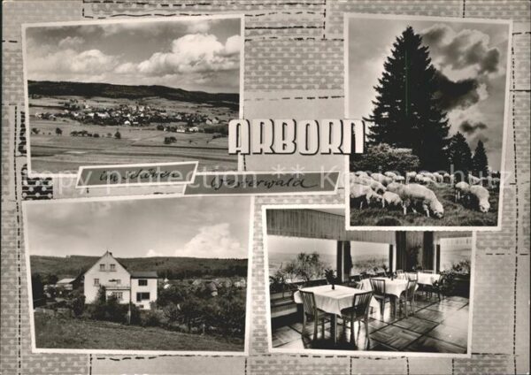 Arborn