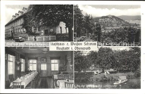 Neustadt Odenwald Gasthaus Pension zum weissen Schwan