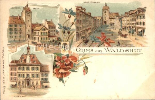 Waldshut Tiengen Rhein