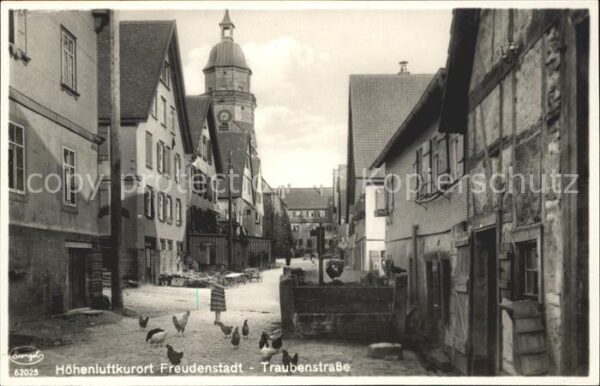 Freudenstadt Traubenstrasse Huehner