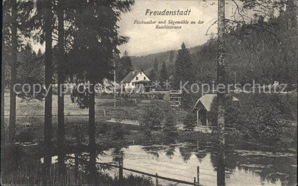 Freudenstadt Fischweiher und Saegemuehle