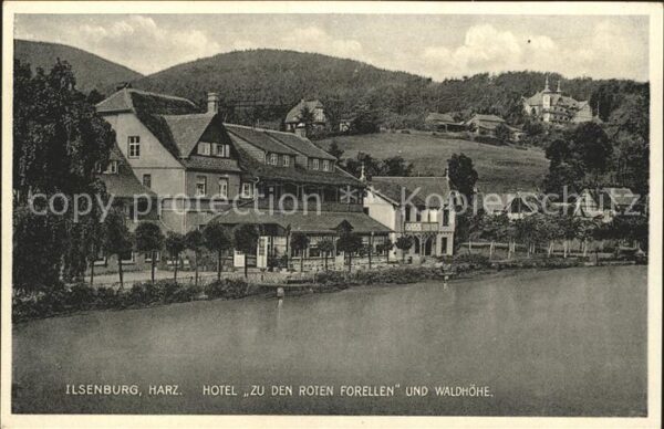 Ilsenburg Harz Hotel zu den roten Forellen und Waldmuehle