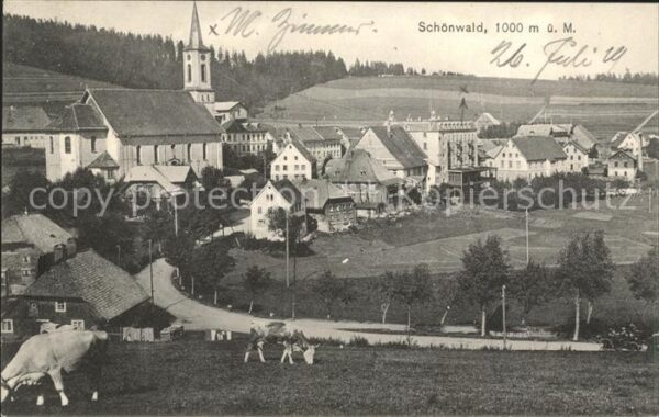Schoenwald Schwarzwald mit Kuehen