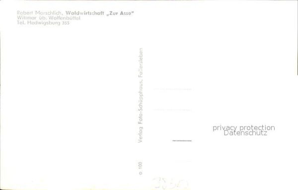Wittmar Waldwirtschaft zur Asse Fliegeraufnahme – Bild 2