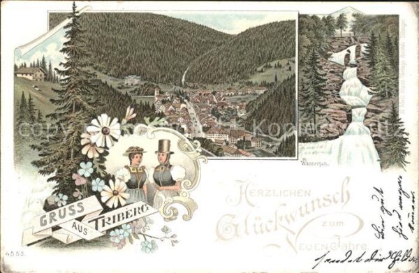 Triberg Schwarzwald Wasserfall