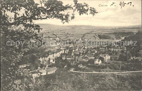 Calw