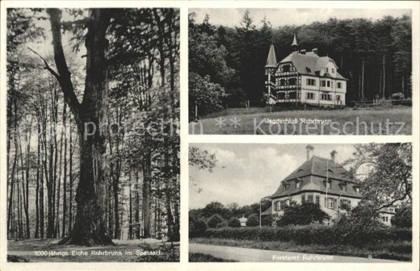Rohrbrunn Eiche Spessart Jagdschloss Forstamt