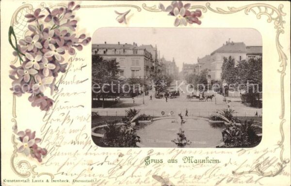 Mannheim Lila Blume Heidelbergstrasse
