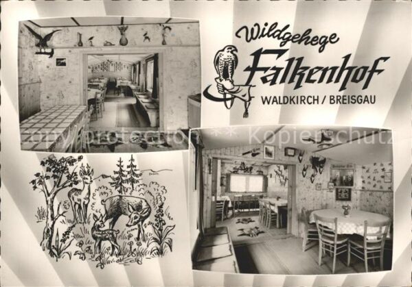 Waldkirch Breisgau Wildgehege Falkenhof