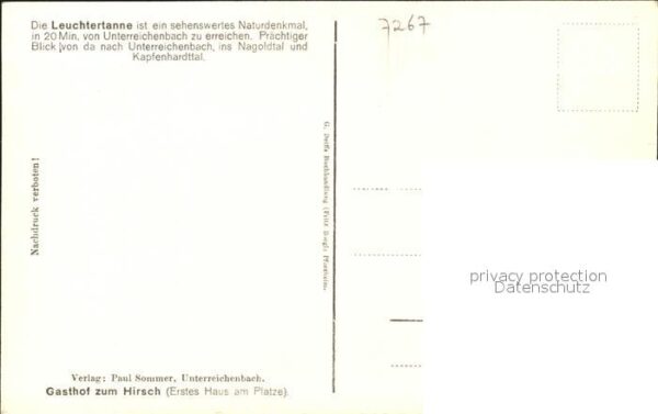 Unterreichenbach Calw 7-armige Leuchtertanne im Naturpark Kleb – Bild 2