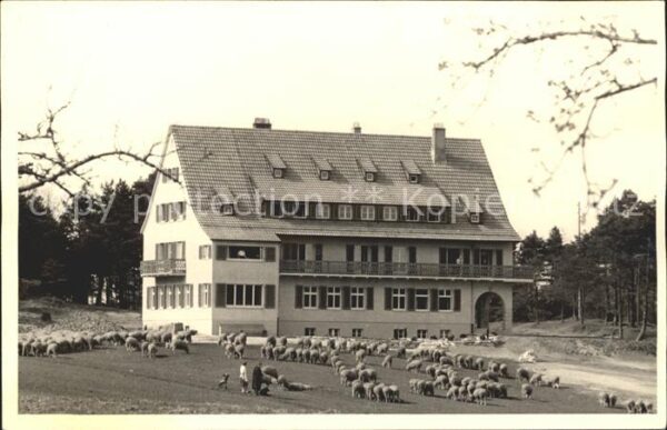 Wuestenrot Hotel