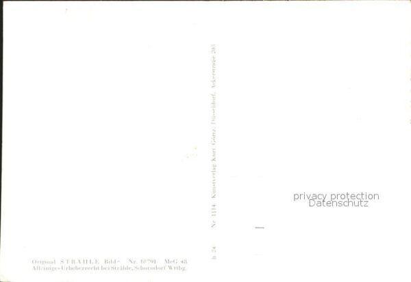 Neusatz Buehl – Bild 2