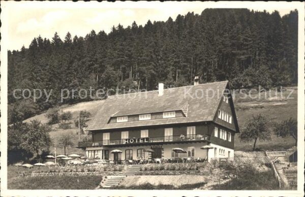 Alpirsbach Waldhotel Burghalde