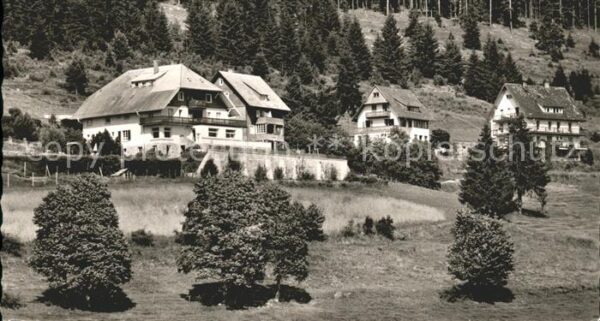 Saig Schwarzwald Haus Sonnhalde