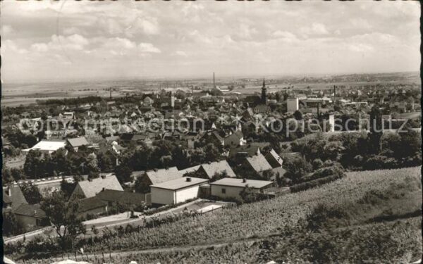 Gruenstadt Deutschen Weinstrasse