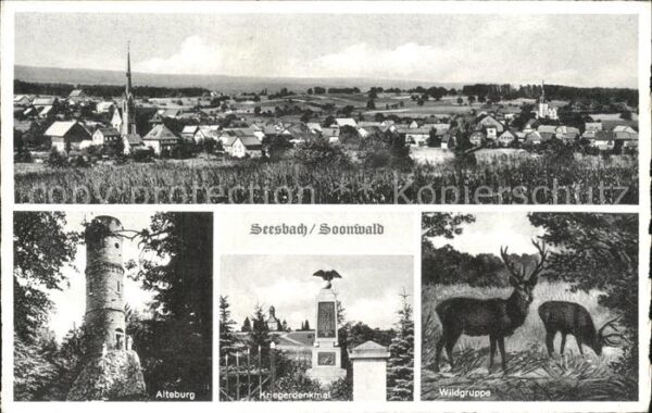 Seesbach Altenburg Wildgruppe Kriegerdenkmal