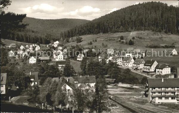 Enzkloesterle