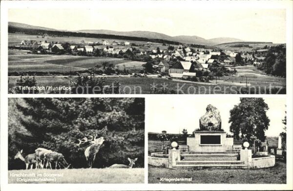 Tiefenbach Hunsrueck Kriegerdenkmal Hirschbrunft Soorwald