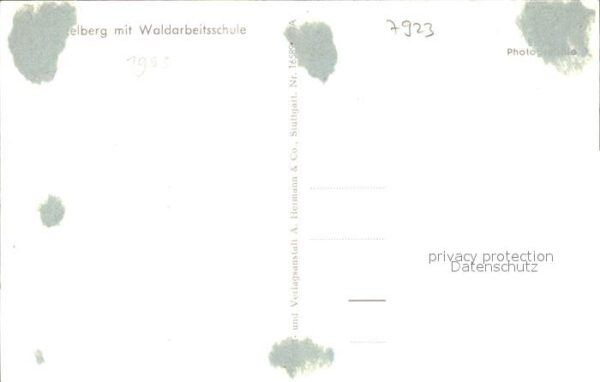 Feldberg Schwarzwald Waldarbeitsschule – Bild 2