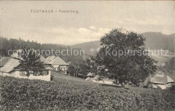 Todtmoos Prestenberg
