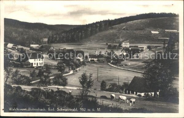 Neustadt Titisee Waldkurort Bubenbach Gasthof-Pension Adler Station Hammereisenb