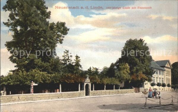 Neuenstadt Kocher 1000 jaehrige Linde Frauenstift