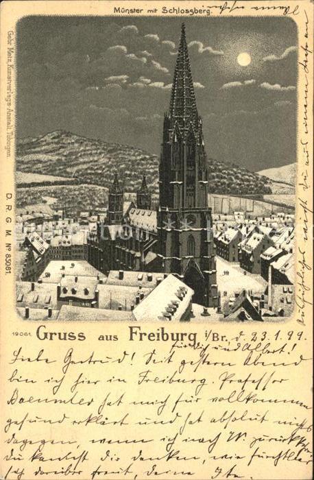 Freiburg Breisgau Muenster Schlossberg