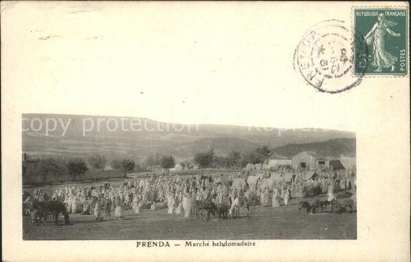Frenda Marche Hebdomadaire
