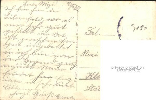 Lilienfeld Muckenkogel Gespitzte Braun – Bild 2