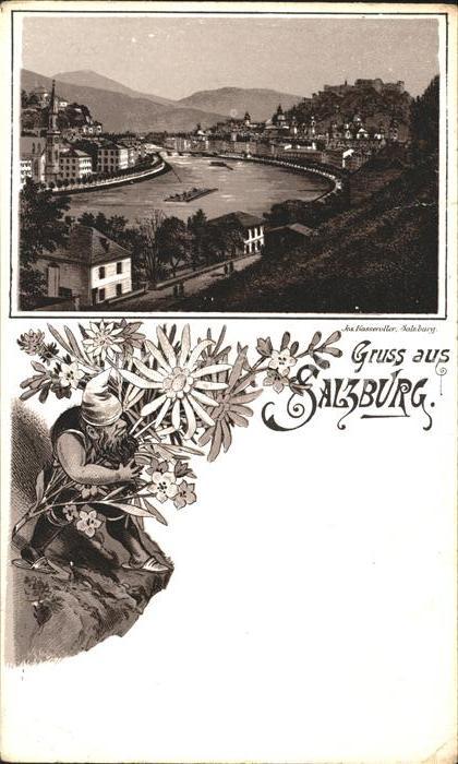 Salzburg Oesterreich Zwerg Blume