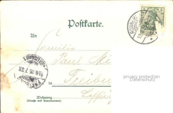 Ronneburg Thueringen Markt Glockenblumen – Bild 2