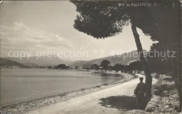 Mallorca De Pollensa