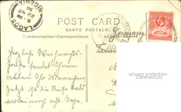 las  Palmas Detalle Kamel – Bild 2