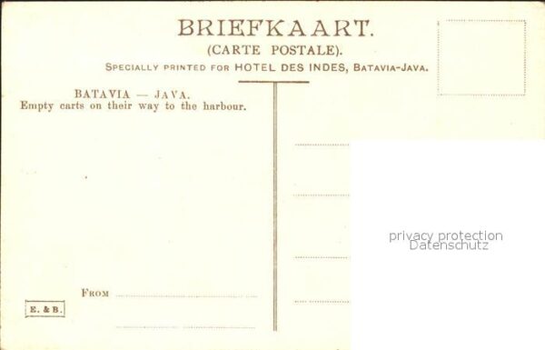 Java Indonesien Batavia Pferd – Bild 2