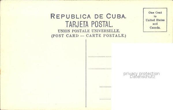 Cuba Cuba Paisaje Cubano Palmas – Bild 2