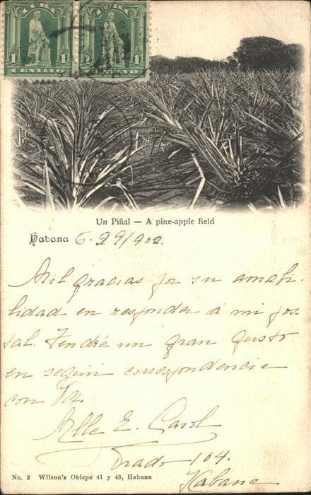 Habana Havana Un Pinal Pine Apple Field Wappen Stempel auf AK