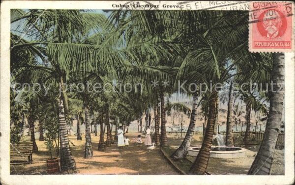 Cuba Cuba Cuban Coconut Grove Stempel auf AK
