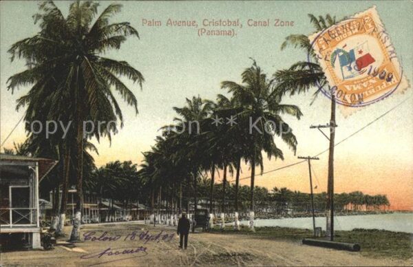 Cristobal Panama Palm Avenue Canal Zone Stempel auf AK