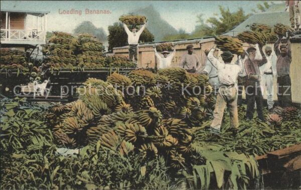 Panama Loading Bananas