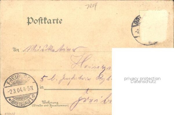 Breisach Rhein Stich – Bild 2