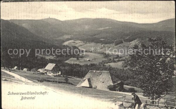 Baerental Feldberg