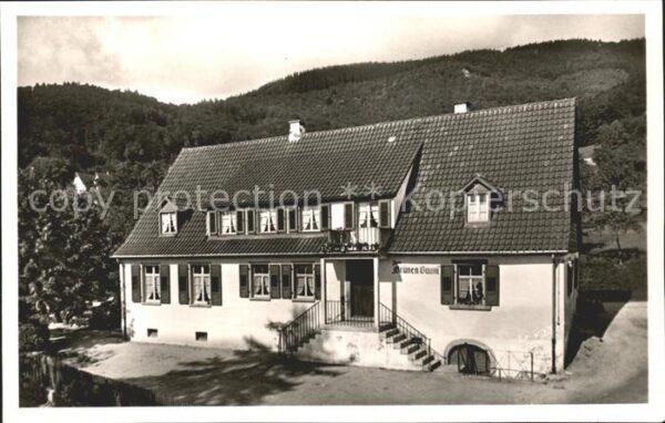 Sehringen Gasthaus zum gruenen Baum